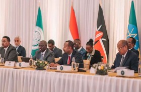 هل تدفع قمة إيغاد تجاه حل لأزمة السودان؟