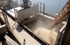 مخاوف من «موجة غلاء»..ما تأثير قرار روسيا بشأن اتفاق الحبوب؟