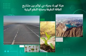 كهرباء دبي تواصل مشاريع الطاقة النظيفة لتحقيق أهداف الاستدامة مع حلول 2050