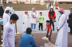 نادي صقاري الإمارات حاضر دوماً في مهرجان الشيخ زايد