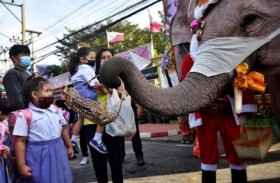 فيلة بزي سانتا كلوز توزع الكمامات في مدرسة
