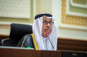 استشاري الشارقة يقر توصياته بشأن سياسة معهد التراث 