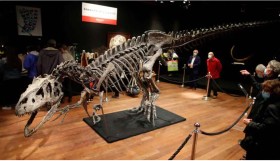 ألمانيا تعيد إلى البرازيل متحجّرة عائدة لنوع نادر من الديناصورات 