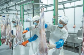بلدية مدينة أبوظبي تدعو الجمهور إلى الالتزام بذبح الأضاحي داخل المسالخ المعتمدة