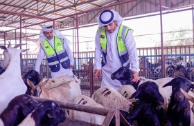 الفجيرة الخيرية تطلق حملة الأضاحي وكسوة العيد