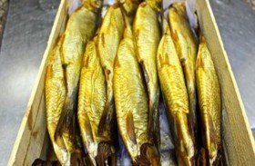 هولندا تشكر ألمانيا بالآلاف من أسماك الرنجة
