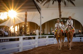 معرض العين الدولي للصيد والفروسية يختتم دورته الأولى