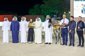 ختام منافسات النسخة الثامنة من بطولة الفجيرة الدولية للخيل العربي