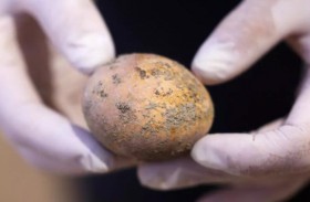 بيضة دجاجة عمرها 1000 عام