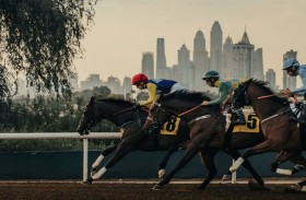 81 خيلا تتنافس في السباق الخامس لمضمار جبل علي