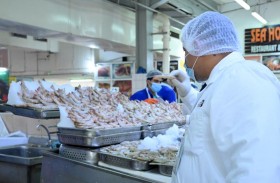 الزراعة والسلامة الغذائية تنظم حملة تفتيشية لأسواق الأسماك  في أبوظبي