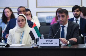 الإمارات تدعو دول بريكس إلى تعزيز التعاون التجاري لتحفيز التدفق الحر للسلع والخدمات