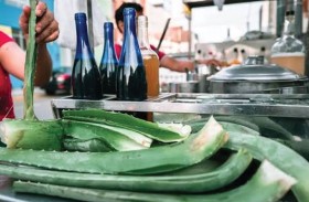 هل يعالج عصير الصبار بطانة الأمعاء؟