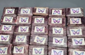 تعثر على‏‎32 ‎‏ كغ من الكوكايين أثناء رحلة صيد 