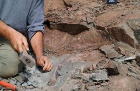 علماء يعثرون على بقايا آخر ديناصور مفترس 