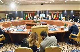 دول جوار ليبيا تتفق على الحل السياسي وخروج المرتزقة