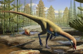 علماء يعثرون على ديناصور نادر في إسبانيا