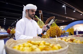 راشد الرميثي: «الوثبة للرطب» يعزز فرص العرض والتسويق