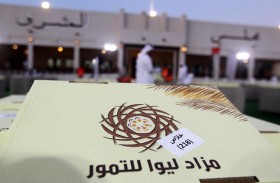 مزاد ليوا للتمور يقام يومي 17 و 20 نوفمبر المقبل أمام المجالس المجتمعية في أبوظبي «المشرف - البطين»