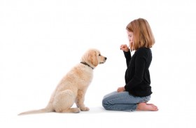 دراسة: الكلاب تقوي مناعة الأطفال ضد أمراض الجلد والربو