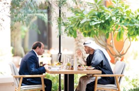 رئيس الدولة والرئيس المصري يؤكدان أهمية تنفيذ اتفاق وقف إطلاق النار في غزة والدفع تجاه مسار السلام العادل والشامل في المنطقة 