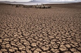 تهدد الأرواح والأرزاق.. الأمم المتحدة تحذر من إل نينيو