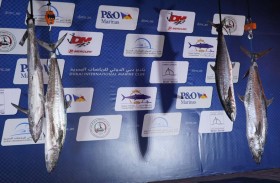165 ألف درهم جوائز الفائزين في بطولة دبي لصيد الأسماك