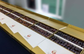 «قضاء أبوظبي» تعرض منتجات مراكز الإصلاح خلال الأسبوع العالمي للغذاء