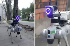 كلاب آلية .. لحماية الطبيعة