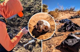 الحلم الأمريكي ينتهي بمجزرة «هياكل عظمية« في الصحراء