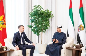 رئيس الدولة ورئيس وزراء مونتينيغرو يبحثان علاقات التعاون والتطورات الإقليمية