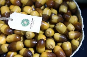 وفد من السفراء المعتمدين لدى الدولة يزورون مهرجان ليوا للرطب بدورته الـ20