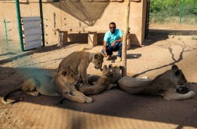 محمية يديرها متطوعون تنقذ أسود السودان 