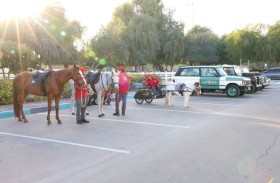 شرطة أبوظبي تنظم فعالية «ملتقى الشتاء» بحديقة المسحاب