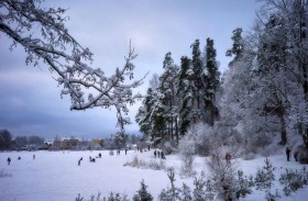 في عز الصيف.. كرات الجليد تفاجئ رجلا بمنزله