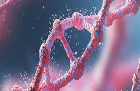 شيفرة المعمرين.. الحمض النووي القديم يفك لغز العيش لأكثر من 100 عام