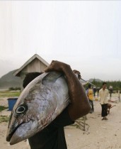 صياد يحمل سمكة تونة اصطادها بميناء في لامبوك من ضواحي باندا آتشيه، إندونيسيا.  رويترز