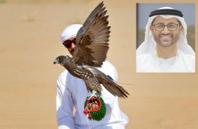 ماجد المنصوري: صقّارو العالم يُثمّنون دور الشيخ زايد في الارتقاء بالصقارة وازدياد رقعة مُمارستها وتعزيز الصيد المُستدام 