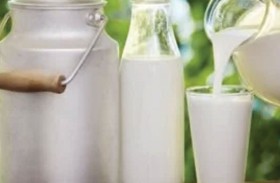 بروتين مصل اللبن.. أيهما أفضل المعزول أم المركز؟