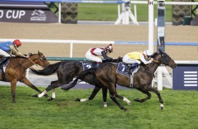 اتحاد الفروسية: كأس دبي العالمي حقق نجاحا كبيرا في أمسية استثنائية