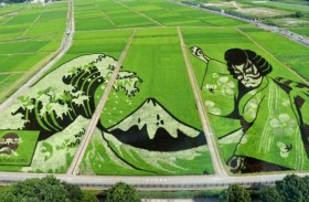 تحفة فنية في حقل من الأرز احتفاء بالألعاب الأولمبية