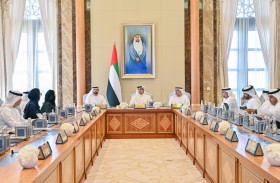 المجلس الوزاري للتنمية برئاسة منصور بن زايد يستعرض عدداً من المبادرات والتشريعات الحكومية