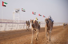 الوارية تظفر بناموس الحول والفاتن بالشوط الثاني للزمول و حفلة تحلق بأفضل زمن للحول