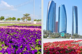 بلدية مدينة أبوظبي تعزز المظهر الجمالي لمدينة أبوظبي والبر الرئيسي بأكثر من 5 ملايين زهرة شتوية