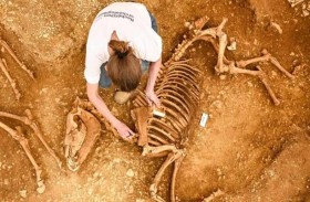 العثور على خيول مدفونة منذ 2000 عام 