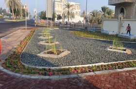 بلدية مدينة أبوظبي تطور الأحواض الرملية على امتداد شارع الكرامة بالقرب من الاتحاد النسائي