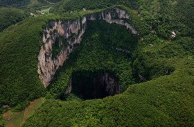 غابات الصين المخفية في الحفر الضخمة تزدهر بشكل غامض في الظلام