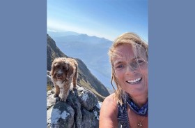 مسنة تنجو من هجوم قطيع أبقار في إسكتلندا