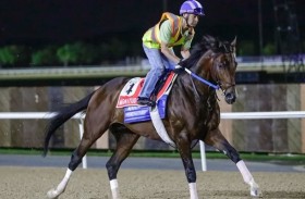 استعدادات قوية لنجوم كأس دبي العالمي في «ميدان» و «هت شو» يعلن التحدي للدفاع عن اللقب