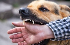 وفاة شاب بعضة كلب